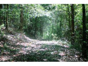 0 Round Hill Road Bryson City, NC 28713 - Photo 12 of 19