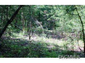 0 Round Hill Road Bryson City, NC 28713 - Photo 14 of 19
