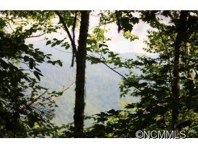 0 Round Hill Road Bryson City, NC 28713 - Photo 19 of 19