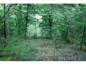 0 Round Hill Road Bryson City, NC 28713 - Photo 4 of 19