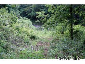0 Round Hill Road Bryson City, NC 28713 - Photo 5 of 19