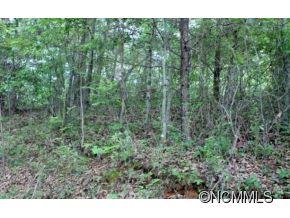 0 Round Hill Road Bryson City, NC 28713 - Photo 6 of 19