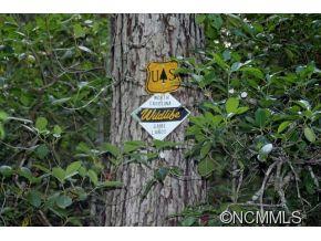 0 Round Hill Road Bryson City, NC 28713 - Photo 7 of 19
