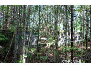0 Round Hill Road Bryson City, NC 28713 - Photo 10 of 19