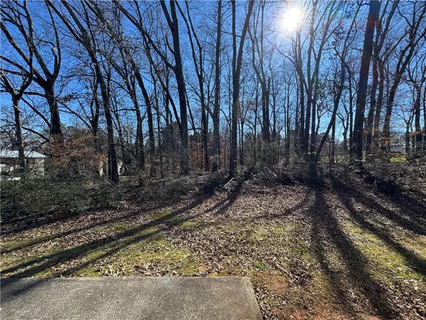 a view of a backyard with large trees