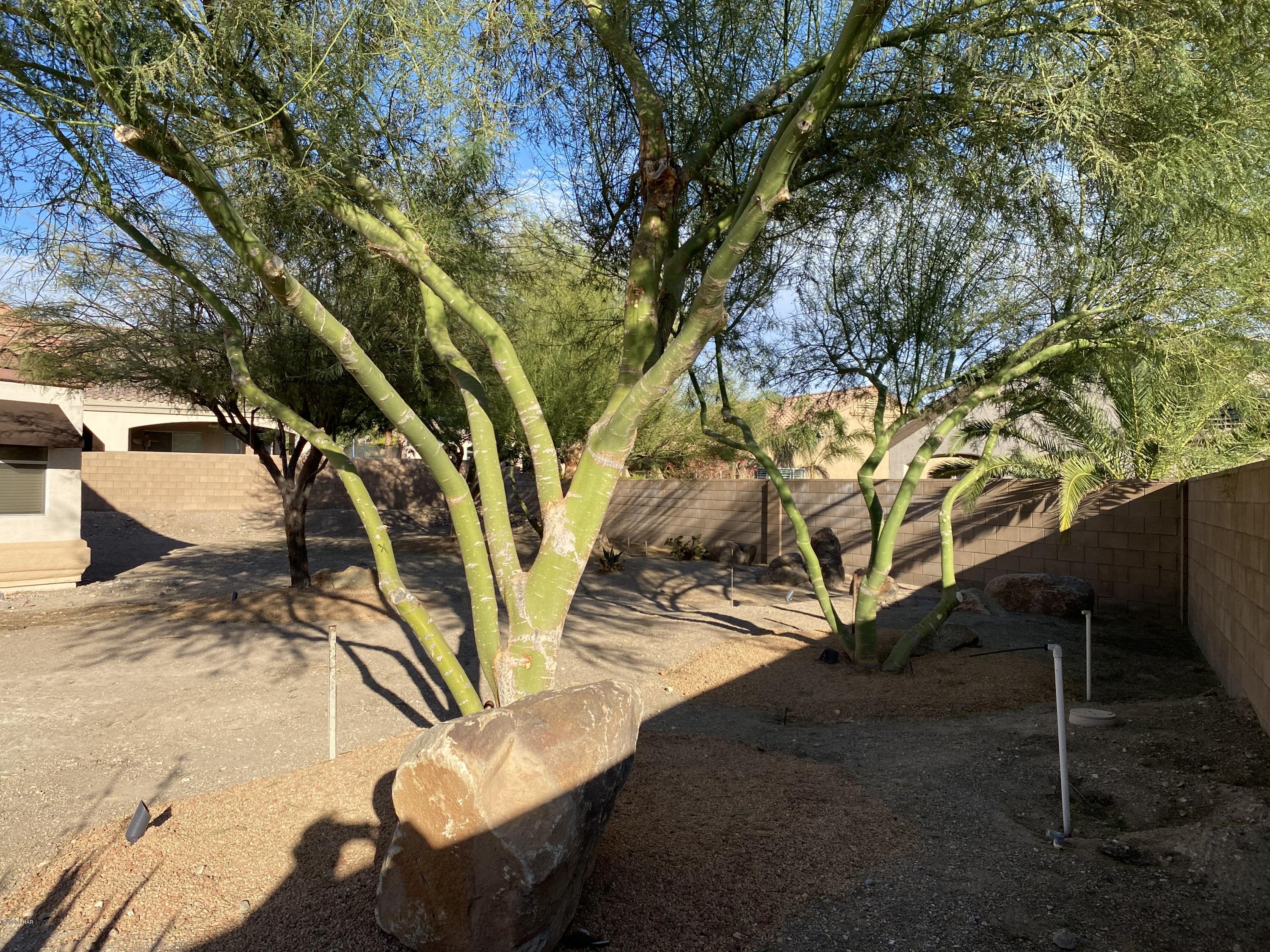 3806 Northgate Road Lake Havasu City, AZ 86404 - Photo 47 of 50 Desert Landscaping In Front & Back!