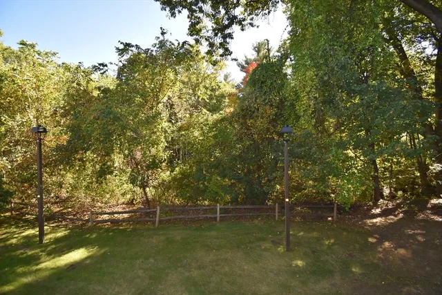 a backyard of a house with lots of green space and plants