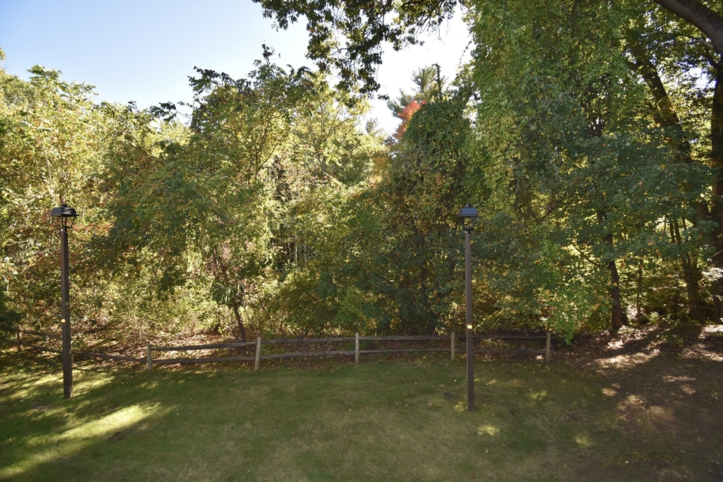 15 Yorktown Drive, Unit 15 Springfield, MA 01108 - Photo 16 of 22 a backyard of a house with lots of green space and plants