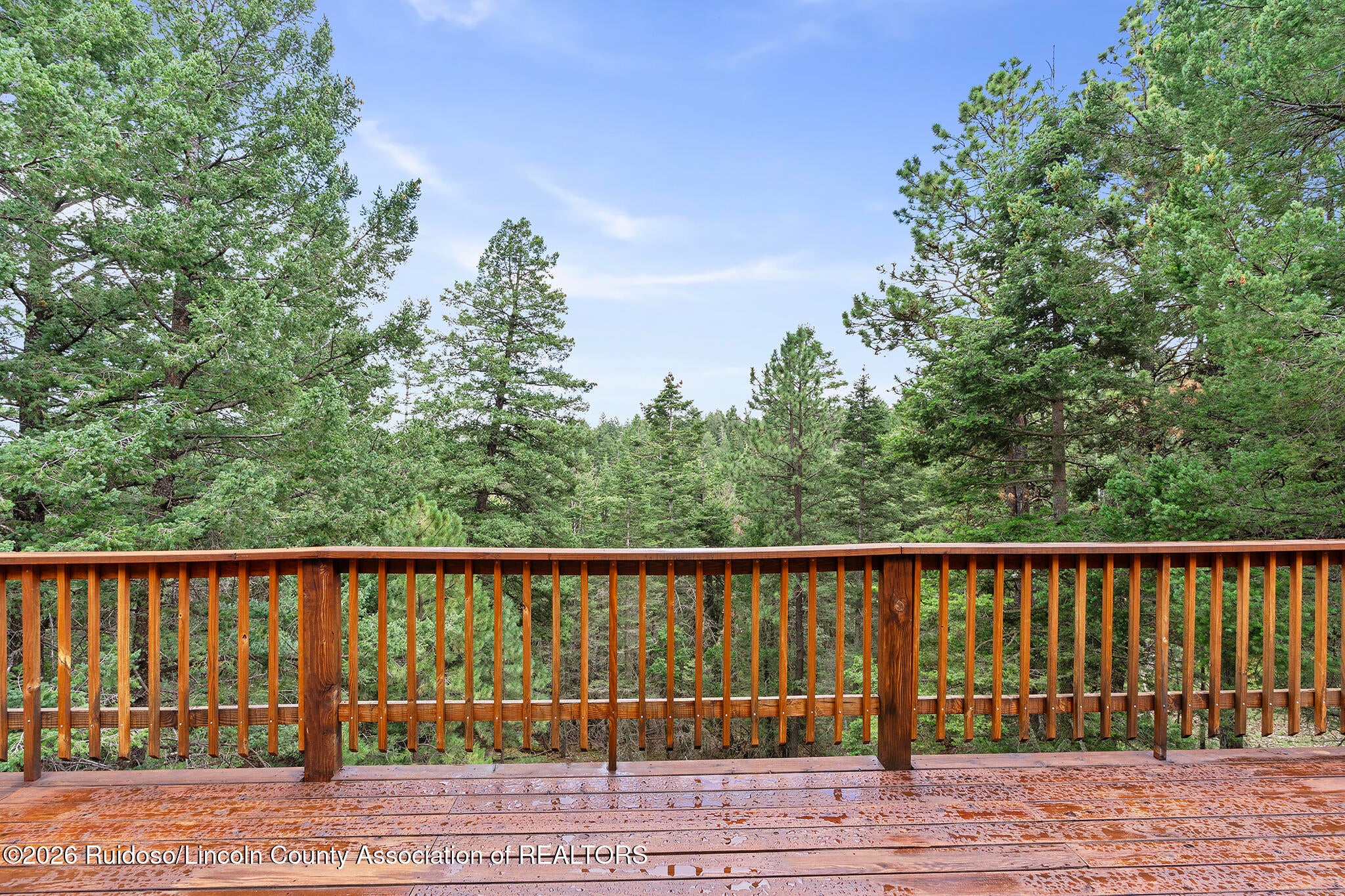 87 Big Dipper Road Cloudcroft, NM 88317 - Photo 13 of 59 Gallery Image 13