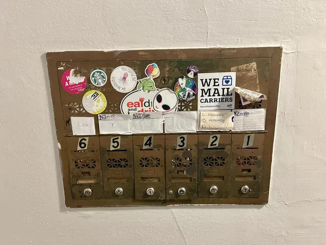 a close up of a bunch of fruits