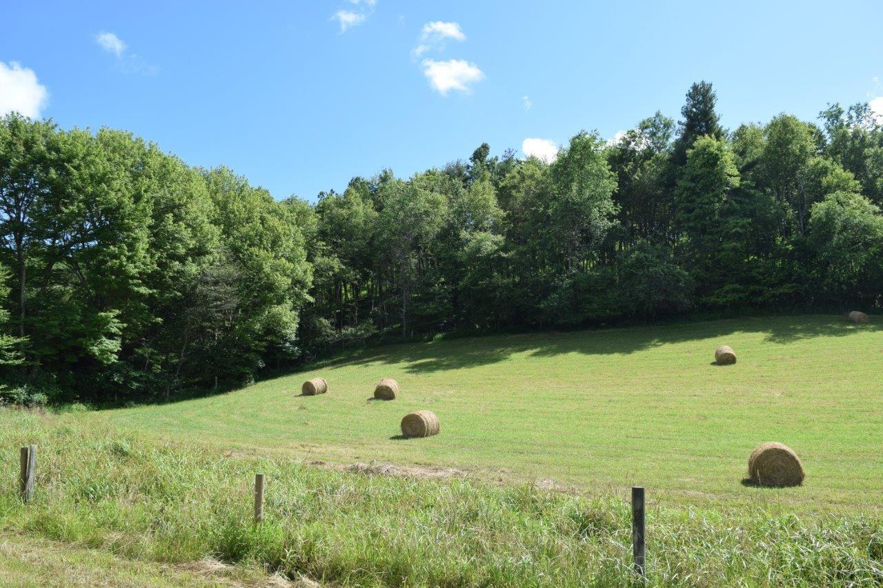 Tbd Emmanuel Road Southwest Willis, VA 24380 - Photo 14 of 14 Gallery Image 14