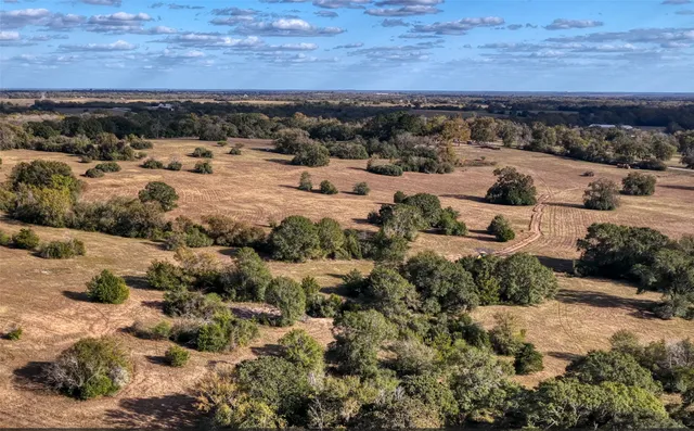 a view of a dry yard with trees