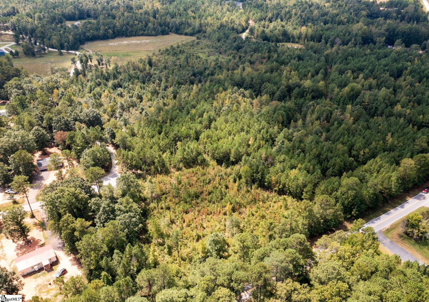 0 Vern Cora Road Laurens, SC 29360 - Photo 2 of 6 Gallery Image 2