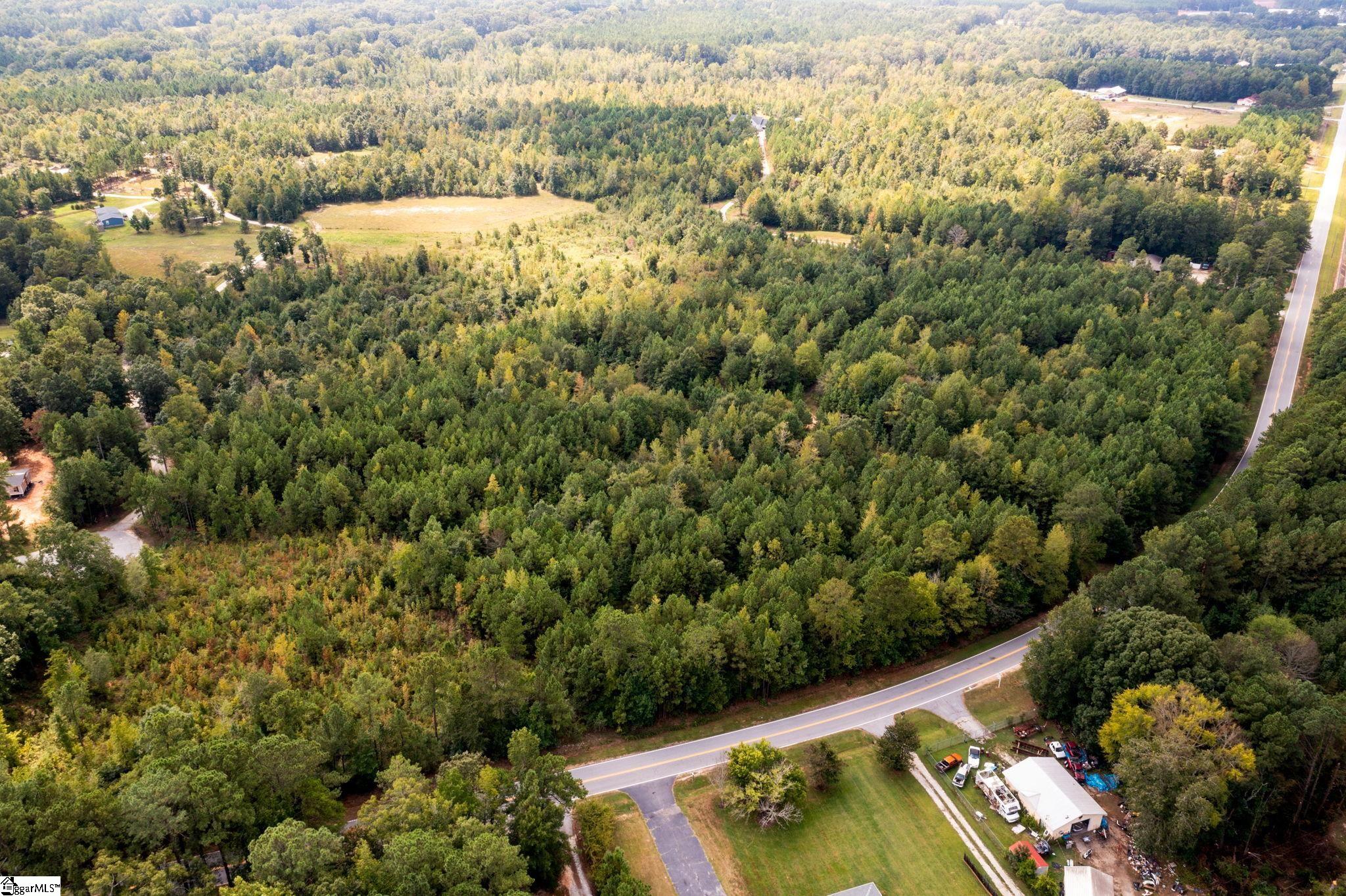 0 Vern Cora Road Laurens, SC 29360 - Photo 3 of 6 Gallery Image 3