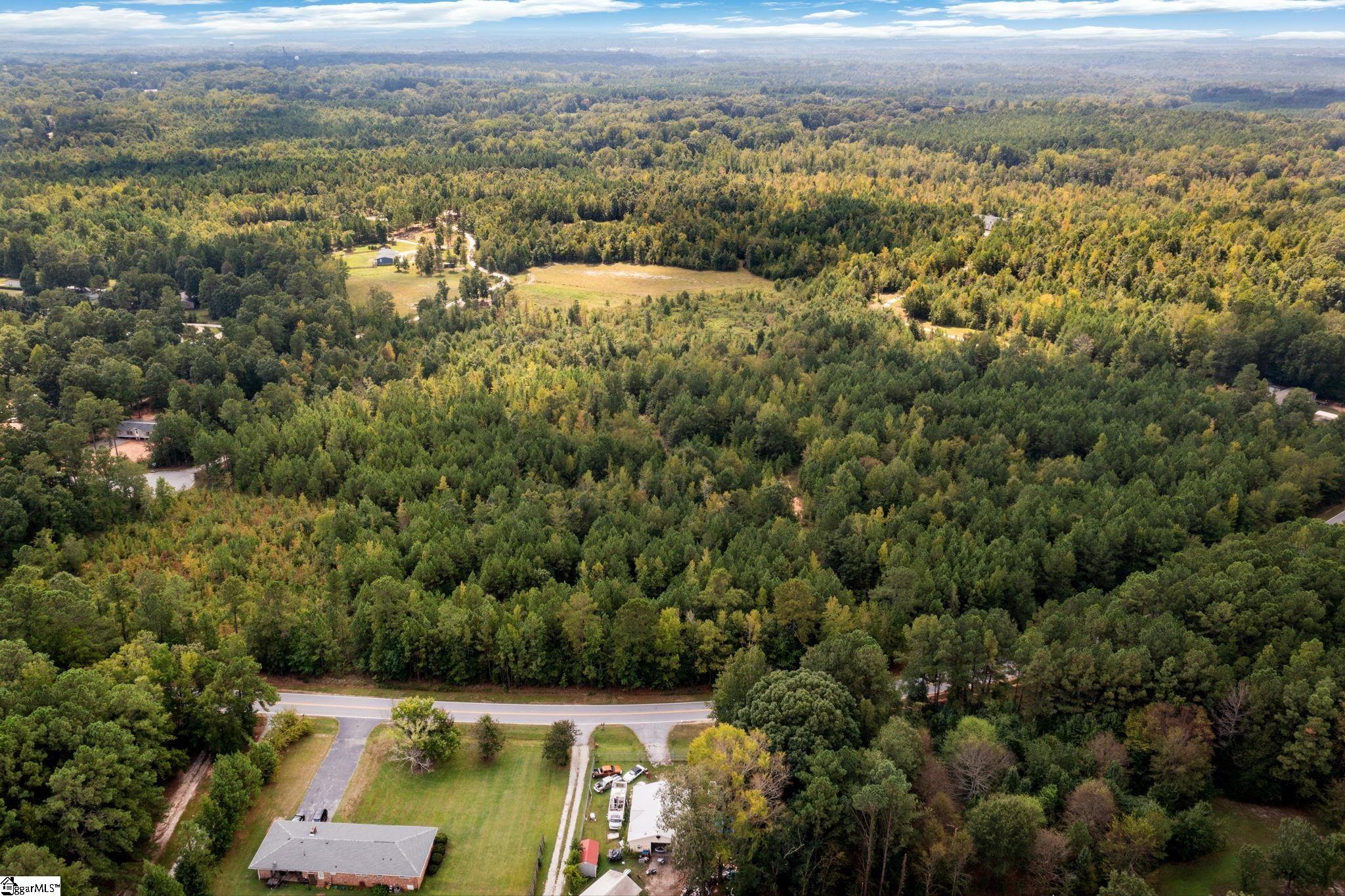0 Vern Cora Road Laurens, SC 29360 - Photo 4 of 6 Gallery Image 4