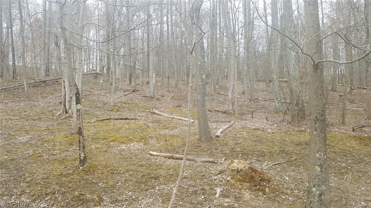 57490 Sycamore Road Quaker City, OH 43773 - Photo 5 of 23