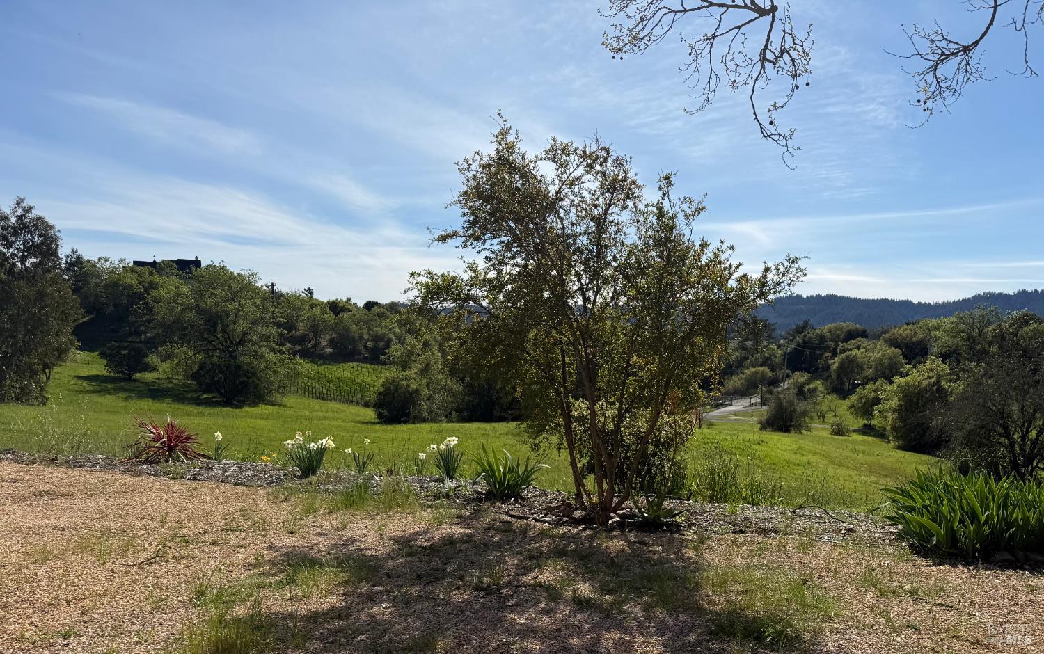 1676 Chiquita Road Healdsburg, CA 95448 - Photo 2 of 46
