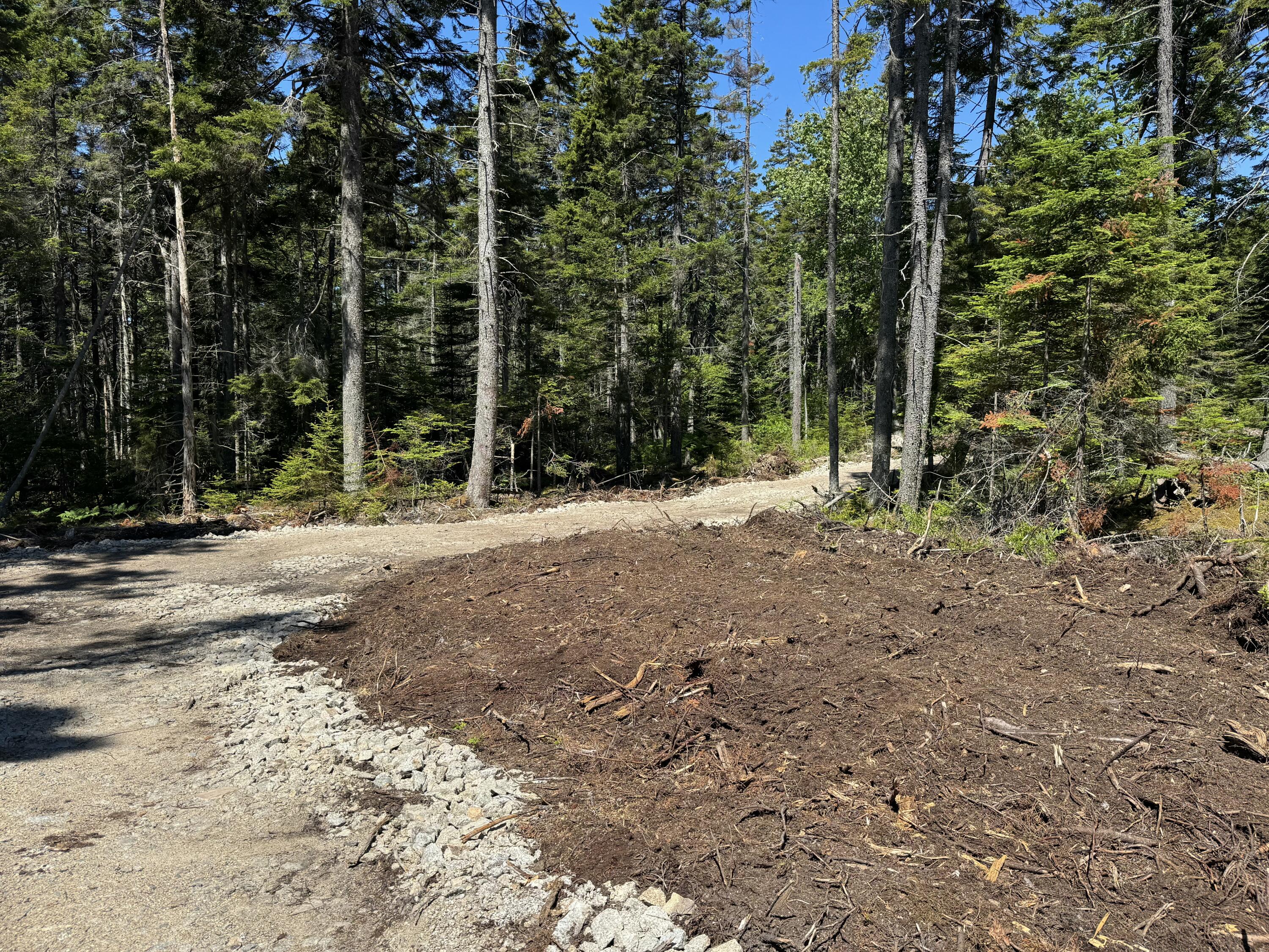 12 Jamestown Road Vinalhaven, ME 04863 - Photo 4 of 17
