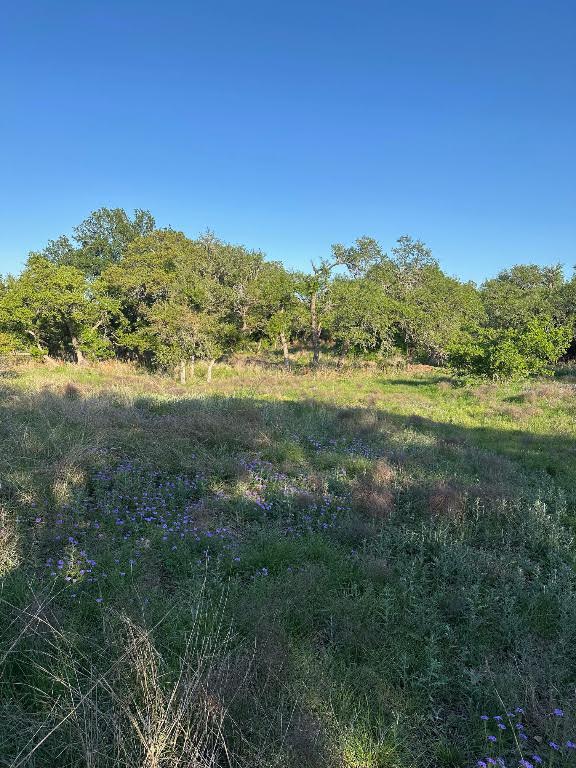 Tbd South Rainbow Ranch Road Wimberley, TX 78676 - Photo 4 of 13 a view of an outdoor space with a lake view
