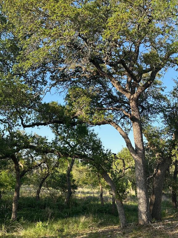Tbd South Rainbow Ranch Road Wimberley, TX 78676 - Photo 5 of 13