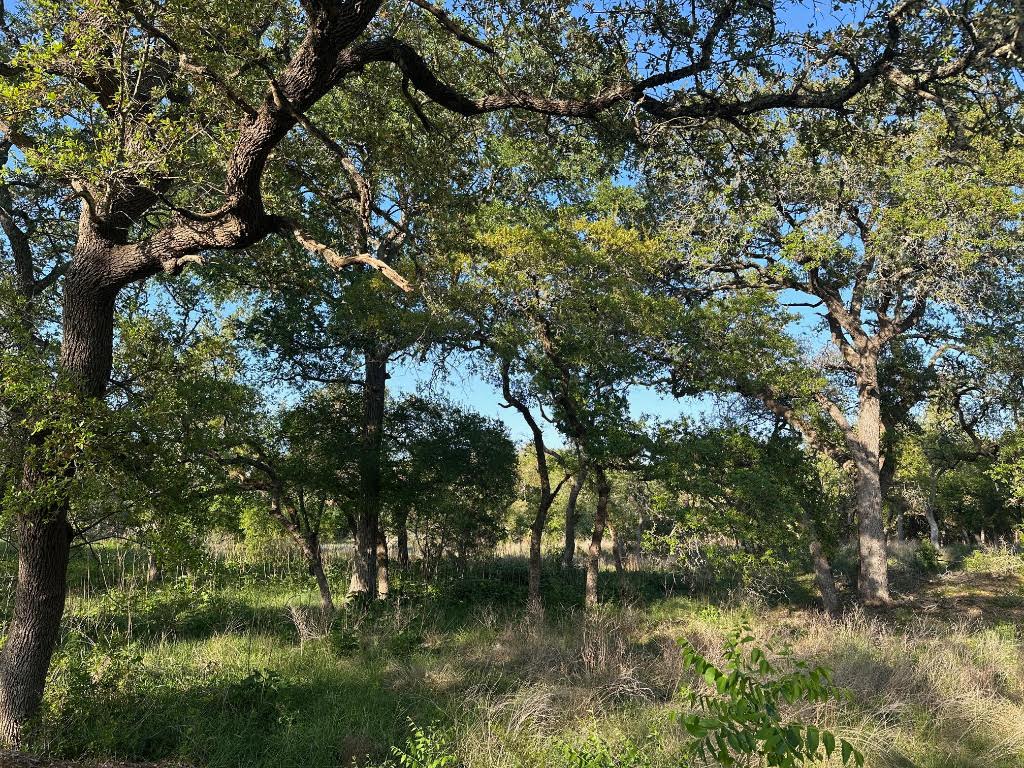 Tbd South Rainbow Ranch Road Wimberley, TX 78676 - Photo 8 of 13 a view of lake with green space