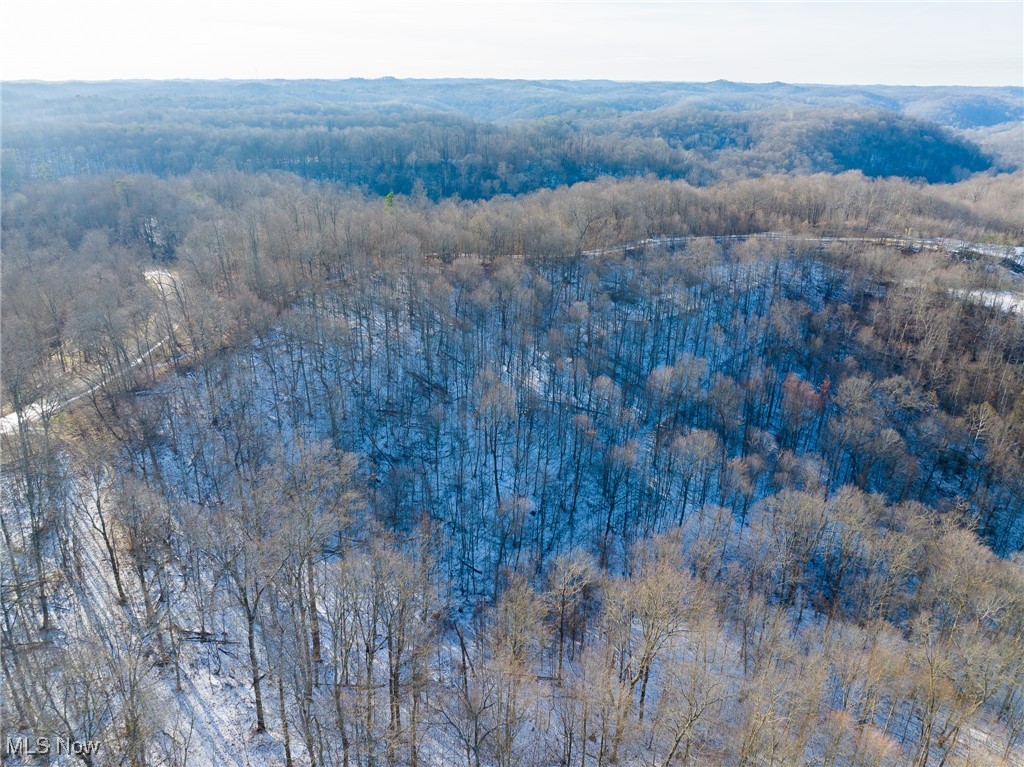 9 County Road New Matamoras, OH 45767 - Photo 47 of 48 Aerial view of a forest
