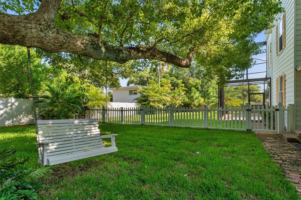 429 Scotland Street Dunedin, FL 34698 - Photo 65 of 78 a view of a park with a large trees