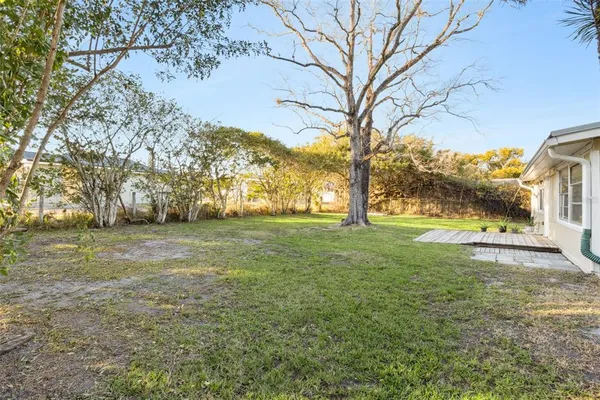 a view of yard with tree