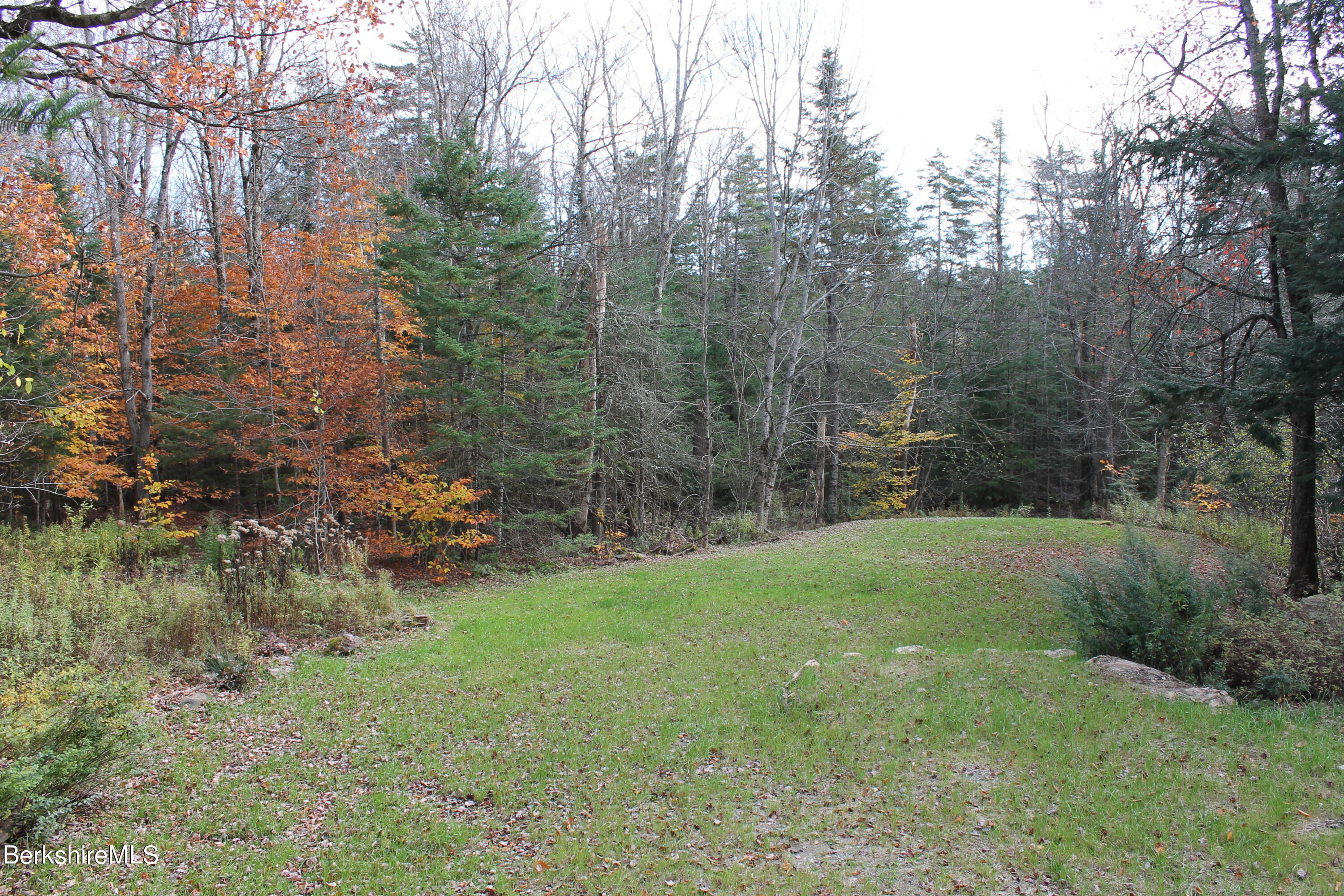 46 East Windsor Road Peru, MA 01235 - Photo 25 of 29 a view of a yard with a tree
