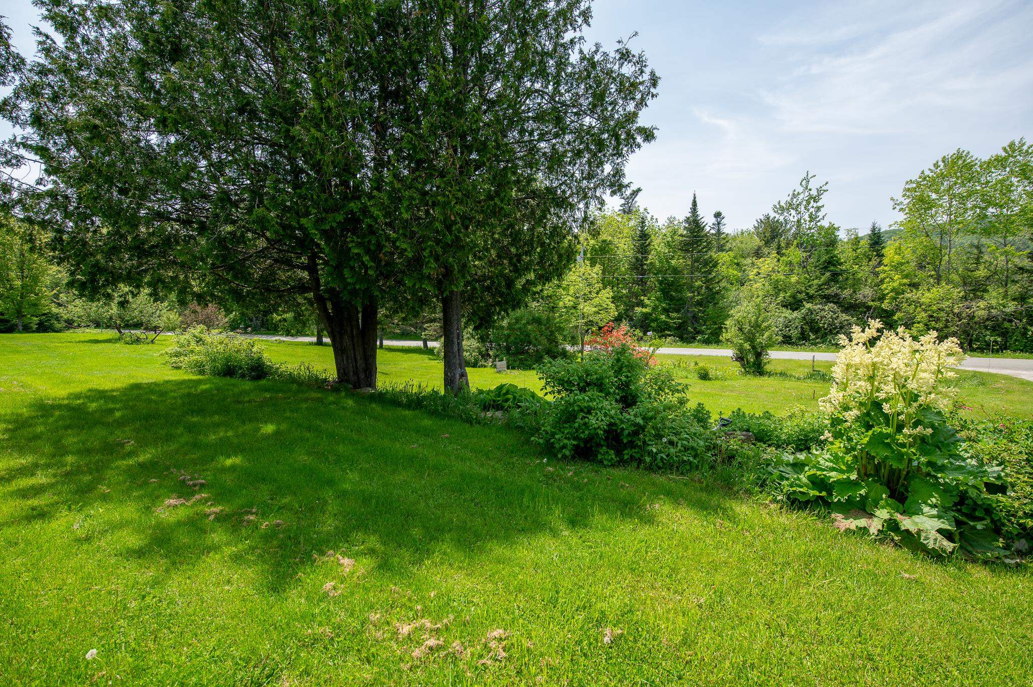 1614 Burbee Pond Road Windham, VT 05359 - Photo 4 of 18