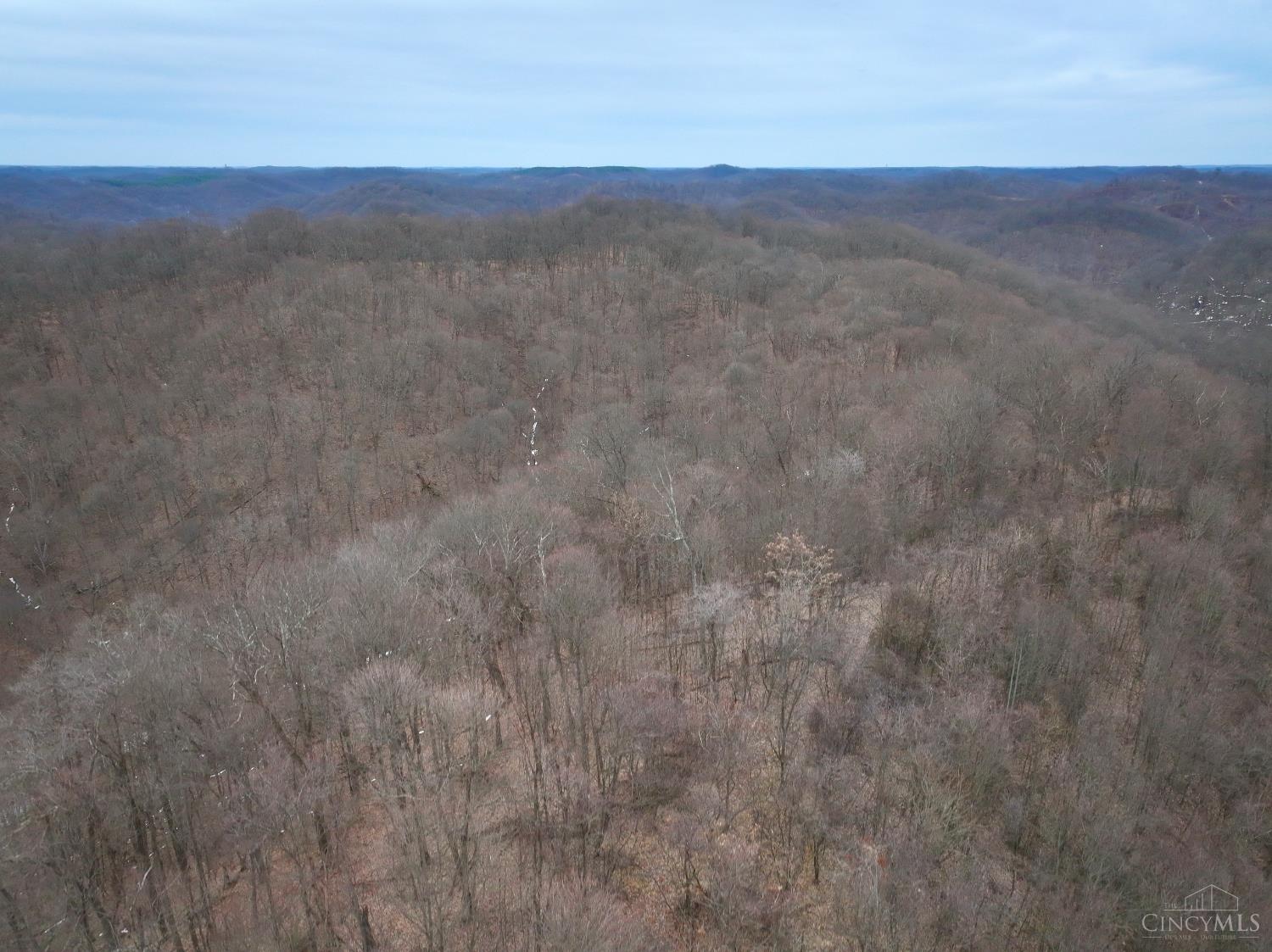0 Straight Creek Road Waverly, OH 45690 - Photo 27 of 71