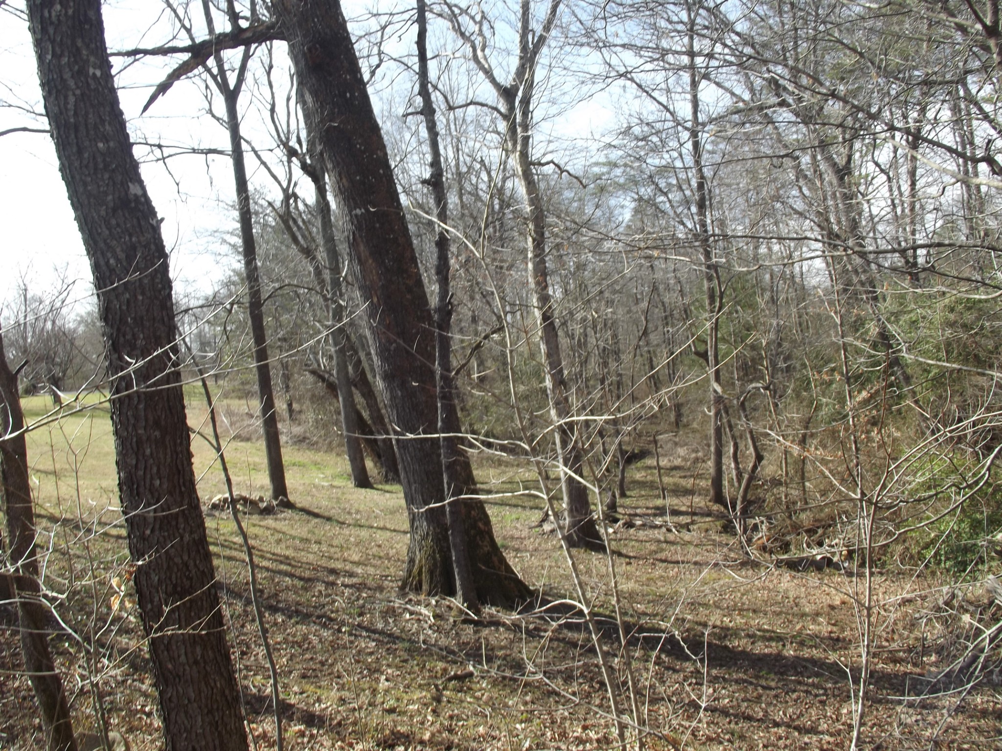 0 Keith Brewer Road Palmer, TN 37365 - Photo 4 of 11 a backyard of a house with lots of green space
