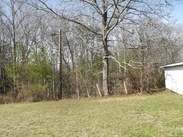 a view of a yard with large trees