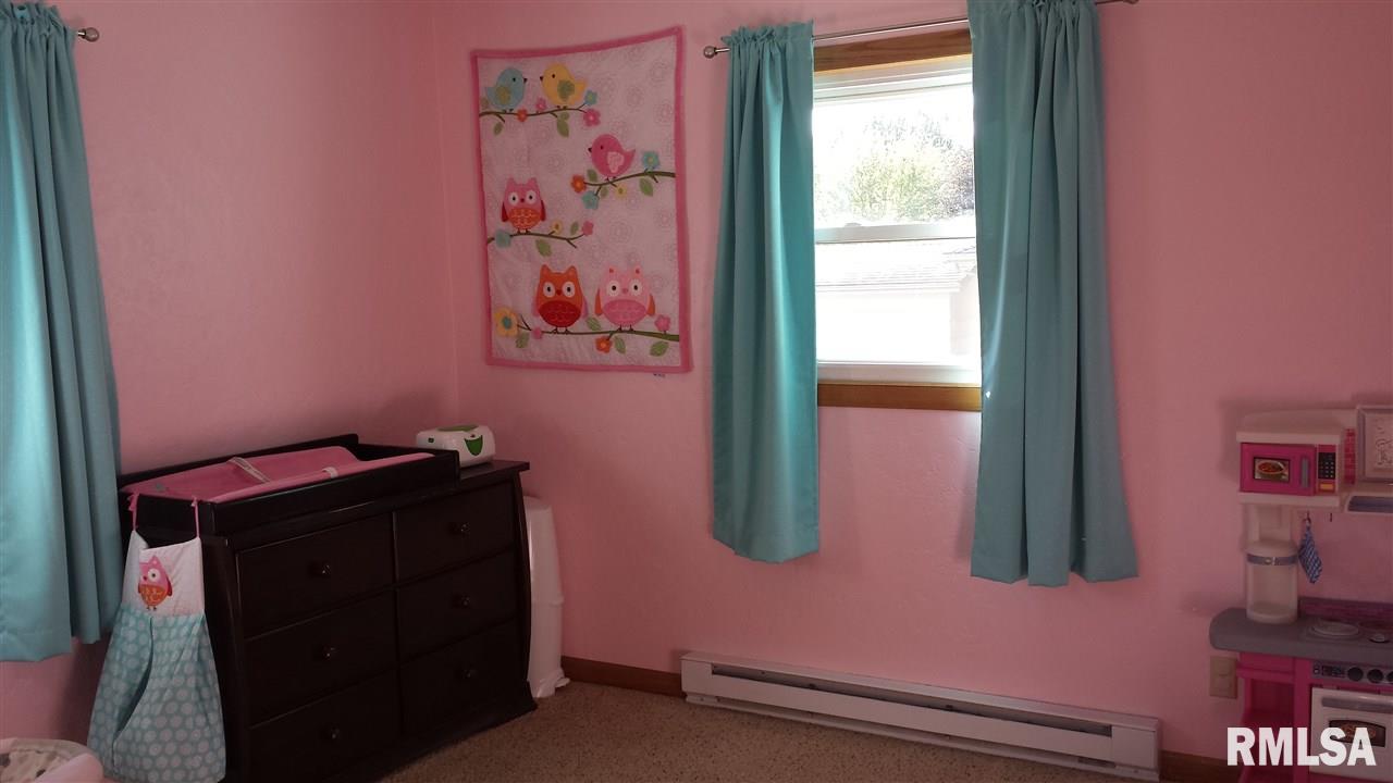 204 Amber Lane Geneseo, IL 61254 - Photo 12 of 19