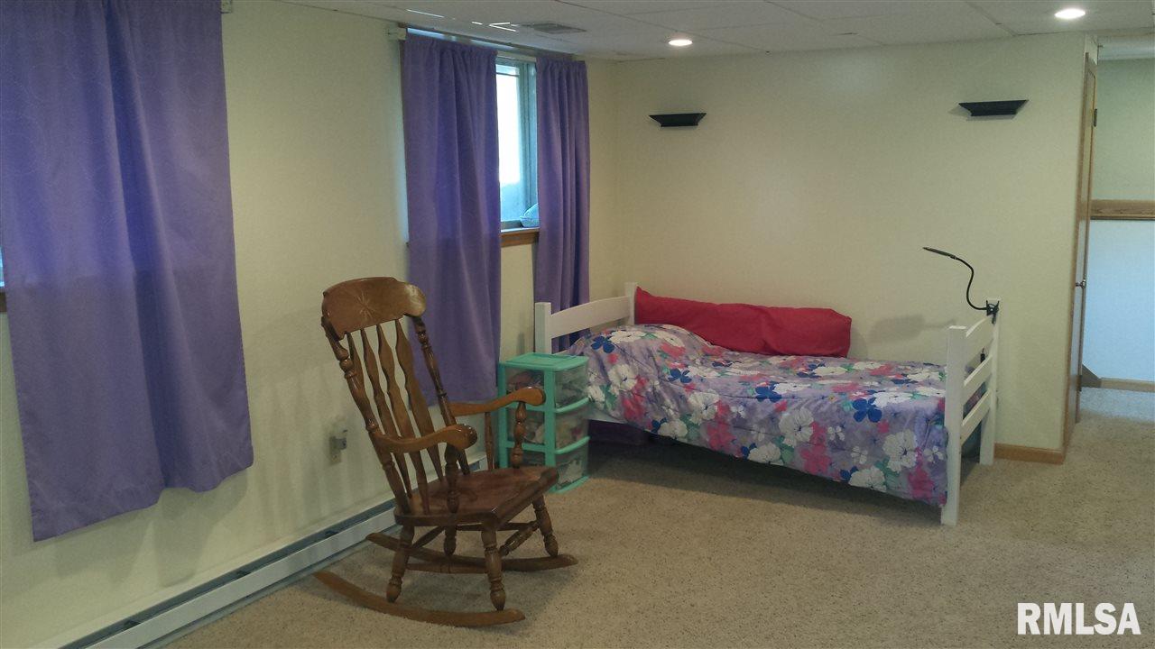 204 Amber Lane Geneseo, IL 61254 - Photo 14 of 19