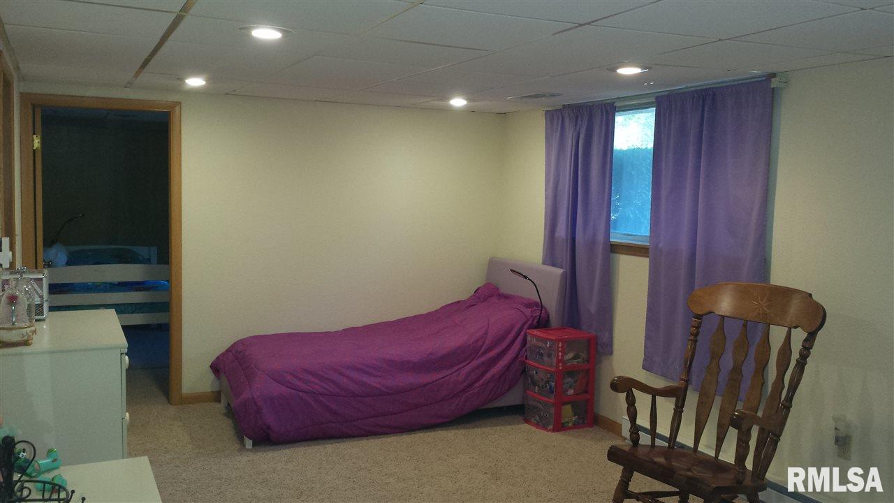 204 Amber Lane Geneseo, IL 61254 - Photo 15 of 19