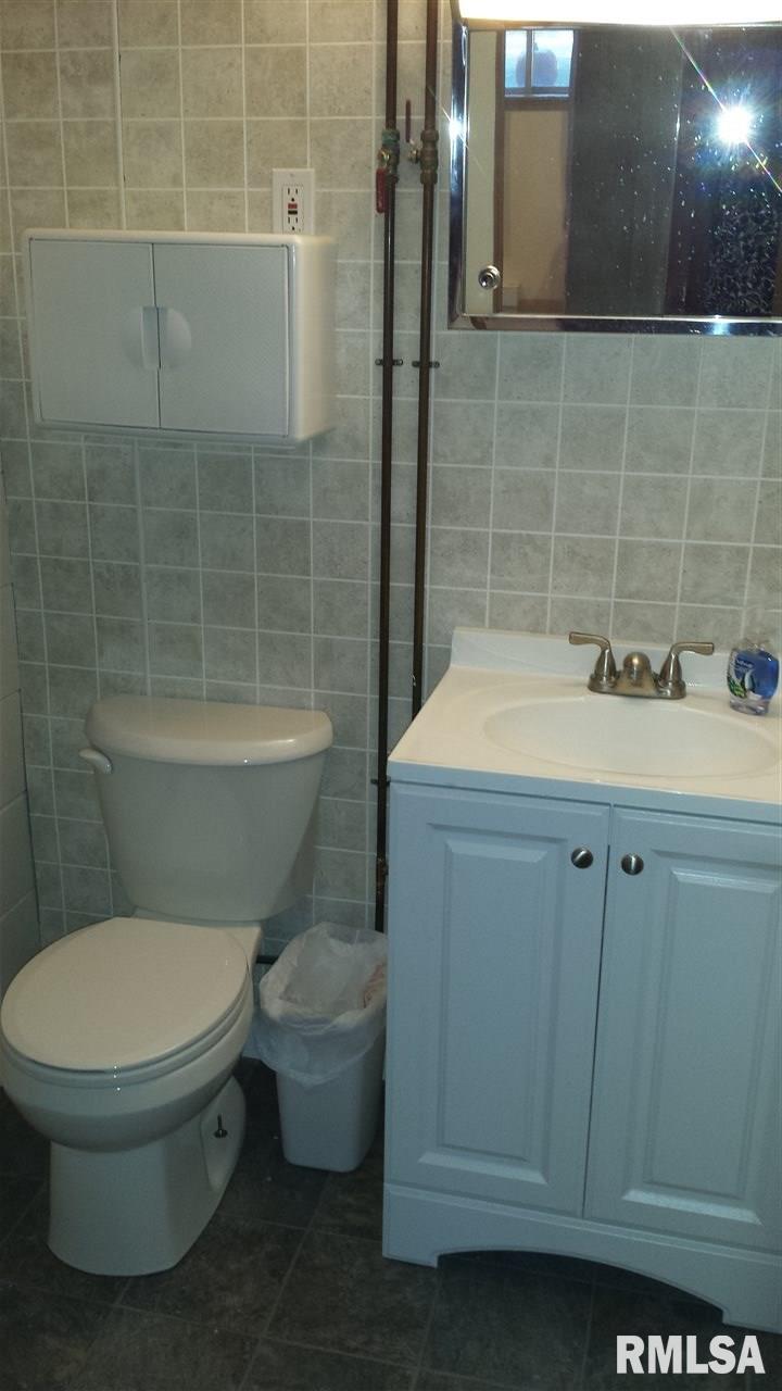 204 Amber Lane Geneseo, IL 61254 - Photo 16 of 19