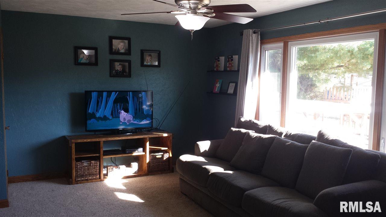 204 Amber Lane Geneseo, IL 61254 - Photo 8 of 19