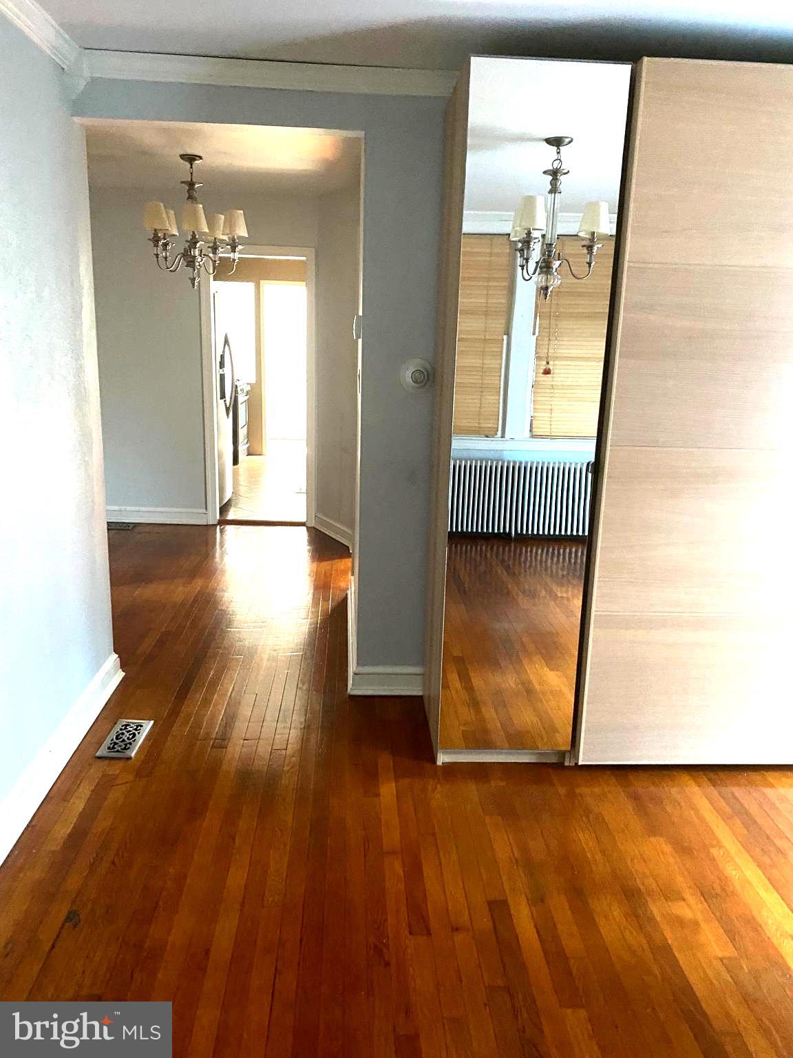 19 Hamilton Street Northeast Washington, DC 20011 - Photo 8 of 31 Unit 1 entry hallway