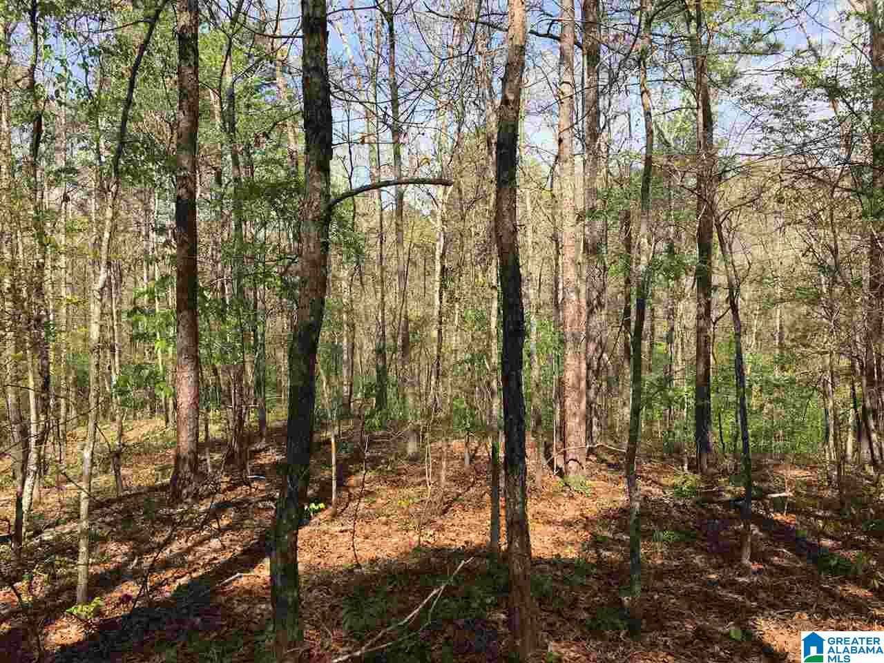 0 Isbell Road, Unit 40 Odenville, AL 35120 - Photo 7 of 13