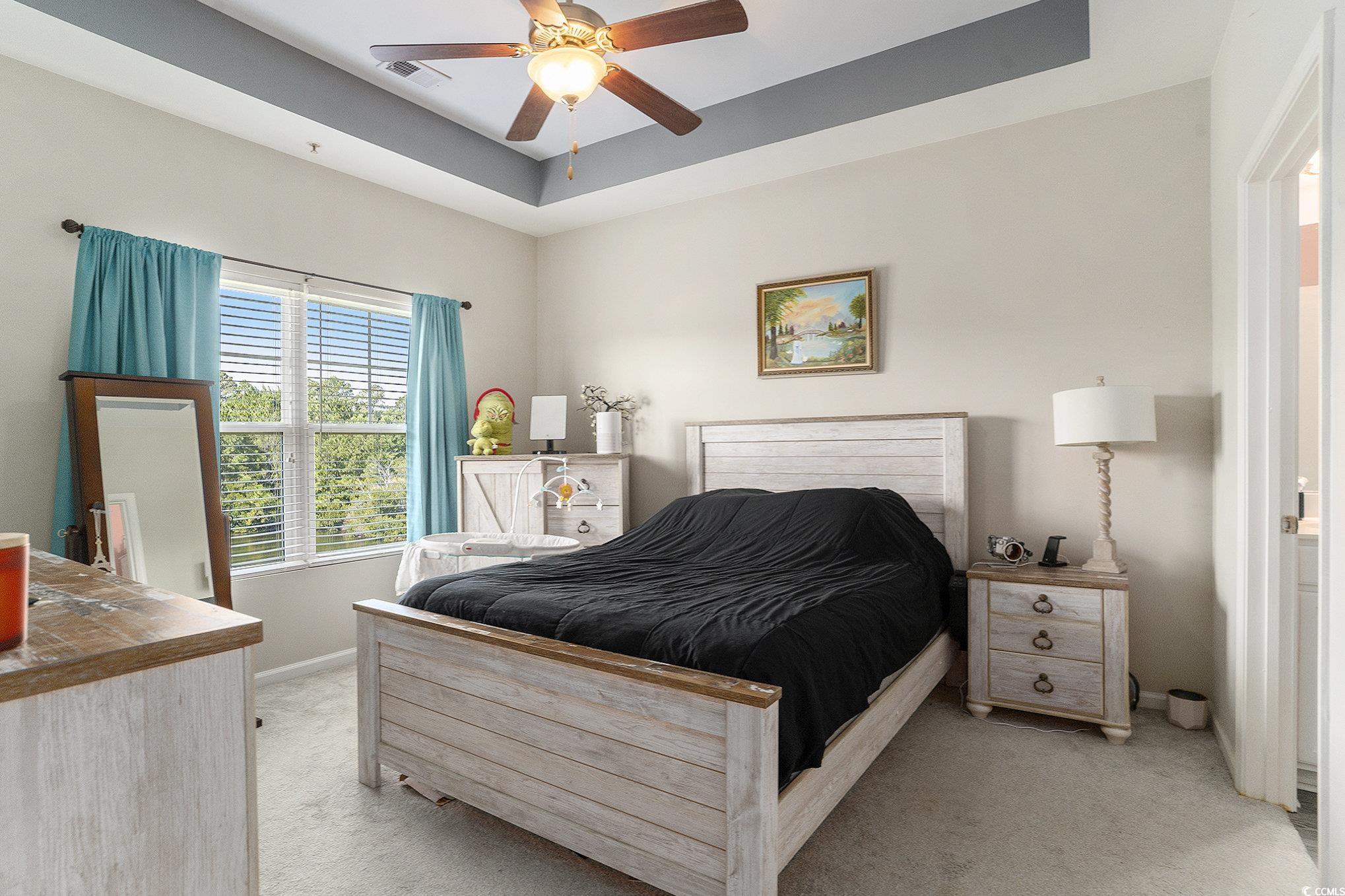 374 Kiskadee Loop, Unit 38L Conway, SC 29526 - Photo 11 of 40