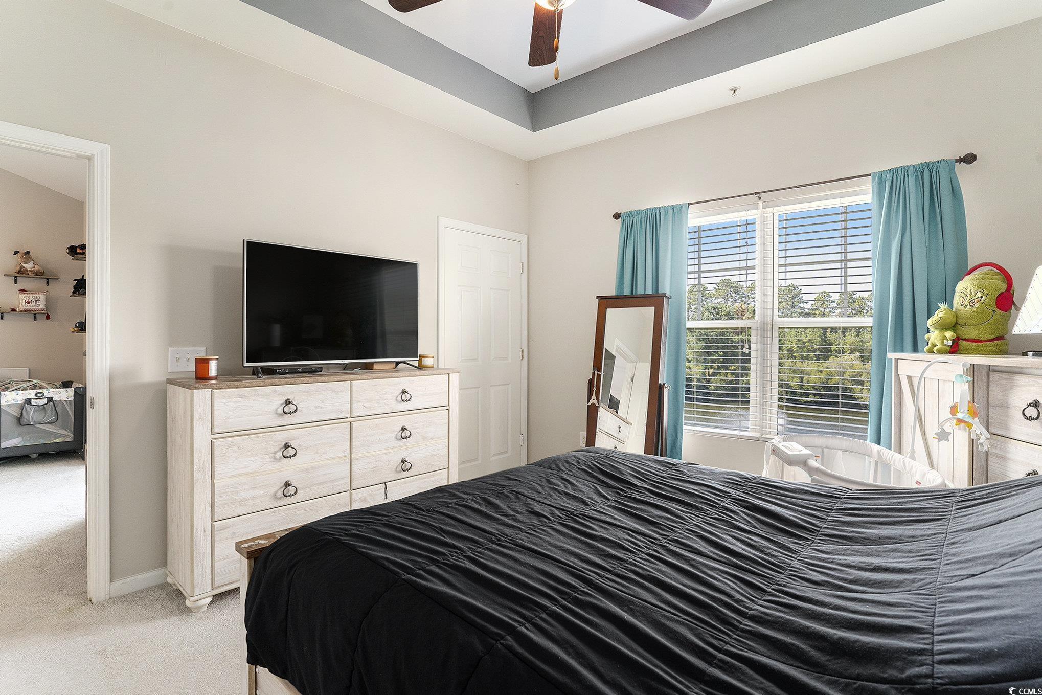 374 Kiskadee Loop, Unit 38L Conway, SC 29526 - Photo 13 of 40