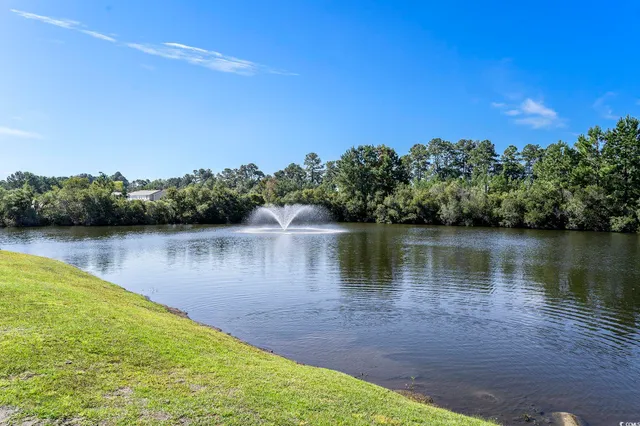 $159,900 | 374 Kiskadee Loop, Unit 38L, Conway, SC 29526