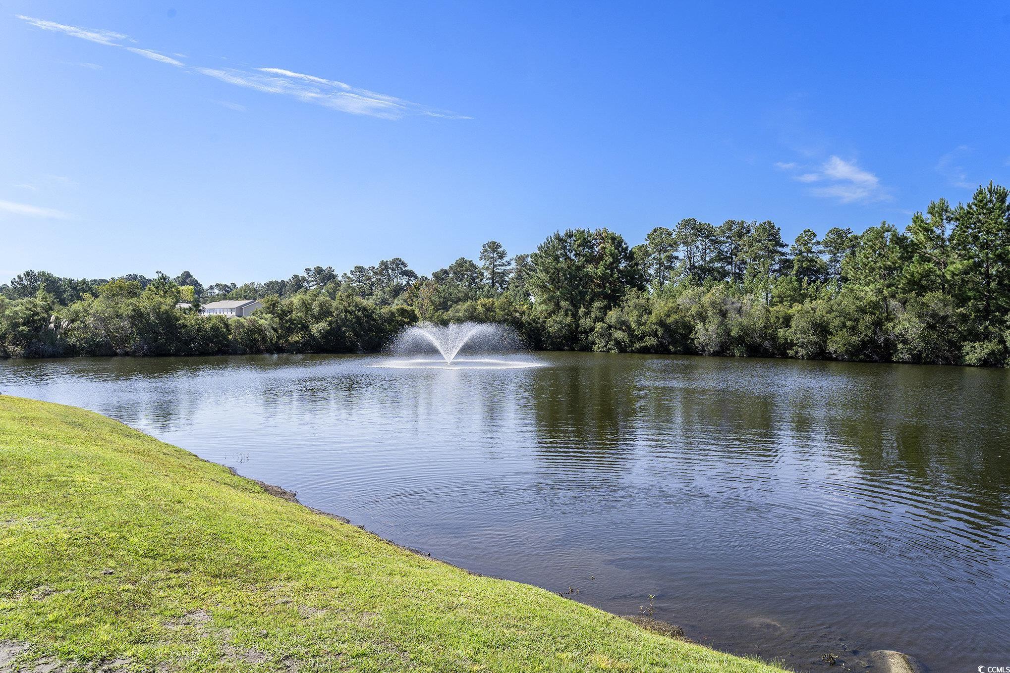 374 Kiskadee Loop, Unit 38L Conway, SC 29526 - Photo 22 of 40