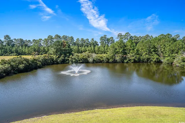 $159,900 | 374 Kiskadee Loop, Unit 38L, Conway, SC 29526