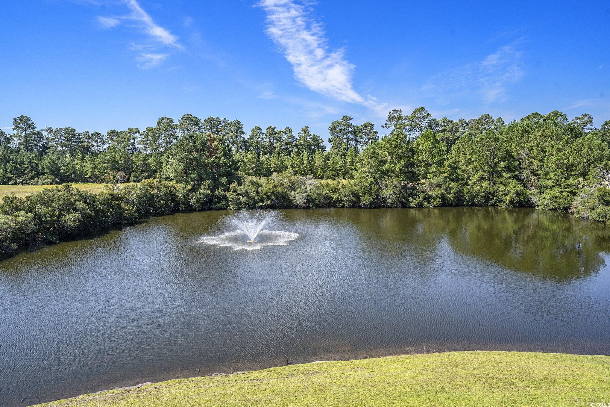 374 Kiskadee Loop, Unit 38L Conway, SC 29526 - Photo 25 of 40