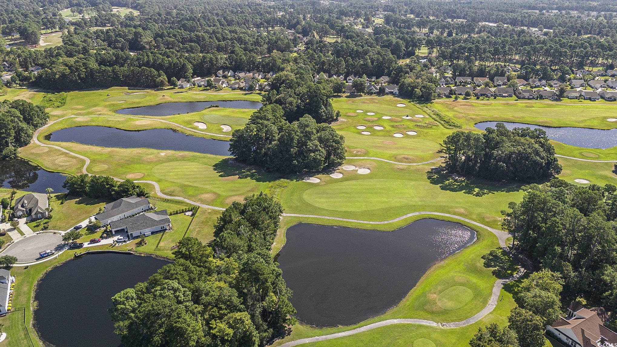 374 Kiskadee Loop, Unit 38L Conway, SC 29526 - Photo 37 of 40