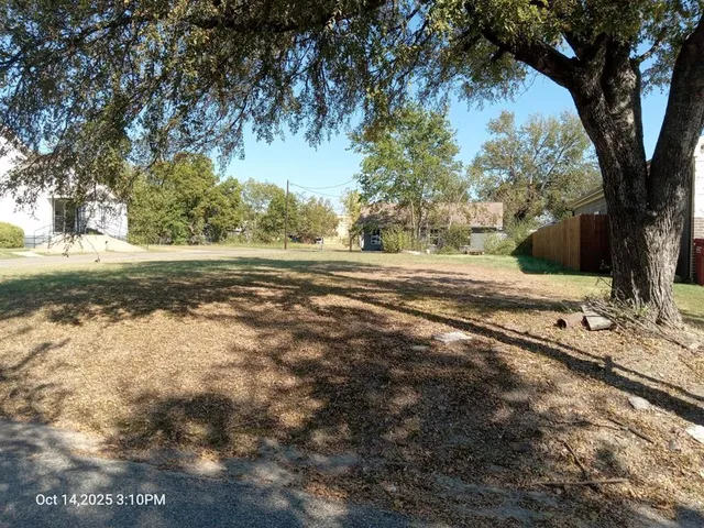 a view of a yard with an tree
