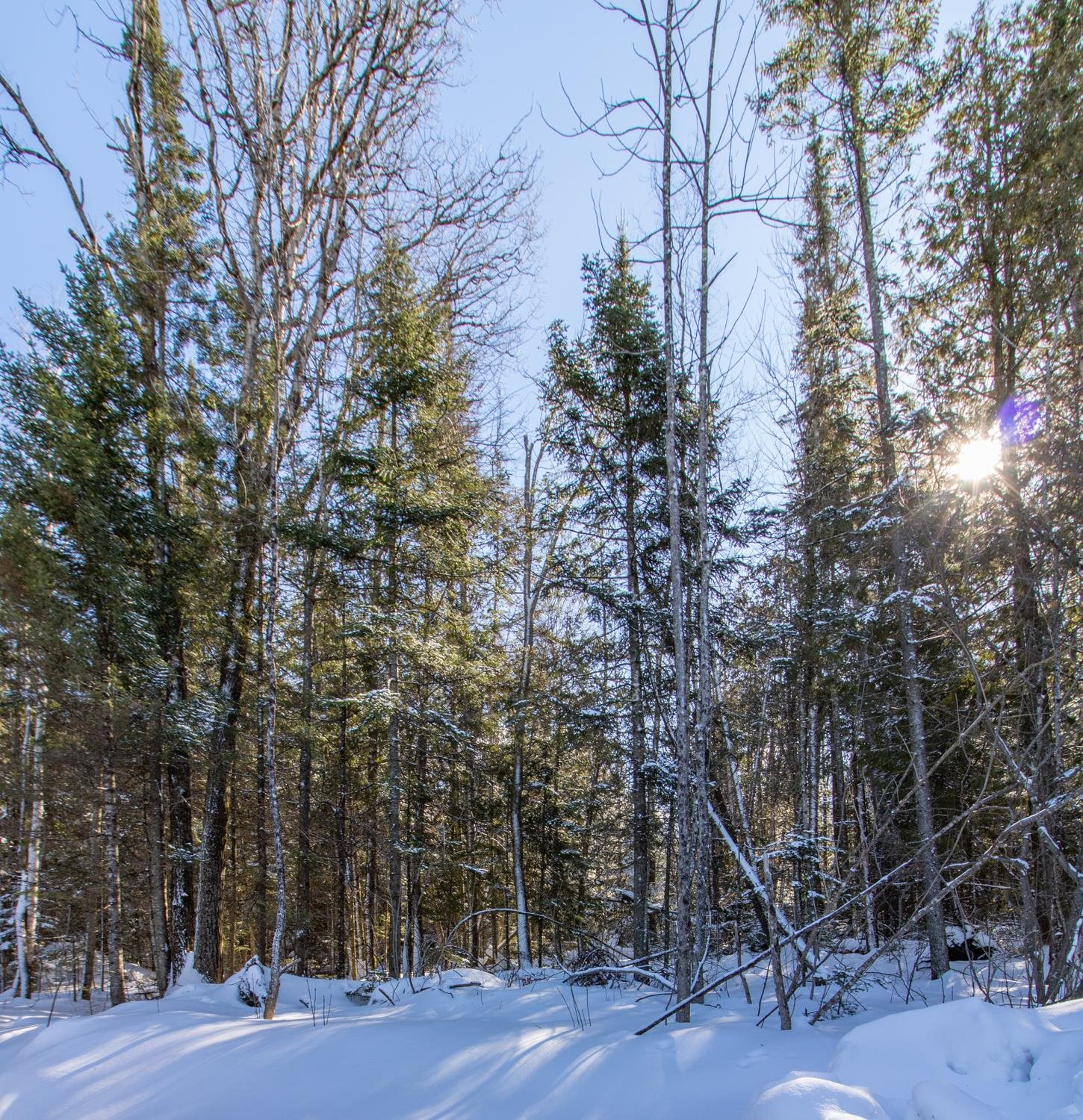 1213 Shadow Lake Road Glover, VT 05839 - Photo 14 of 36