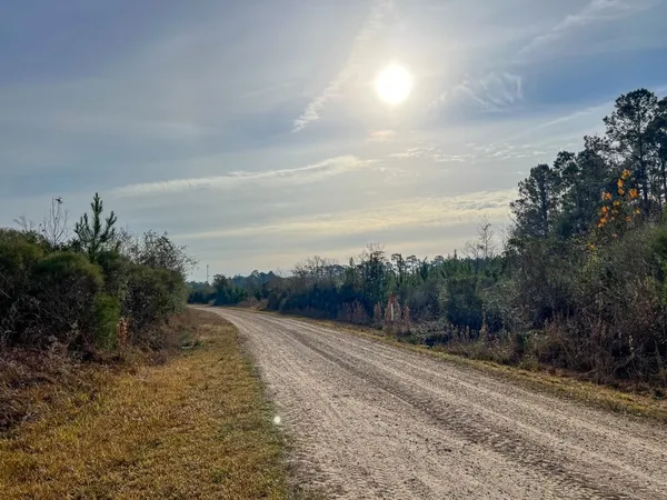 $320,000 | T-7 T-7 Tall Cotton Road, Saratoga, TX 77585